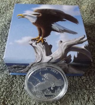 2014 $100 For $100 Canada - The Majestic Bald Eagle - Fine Silver Coin 99.  99% photo
