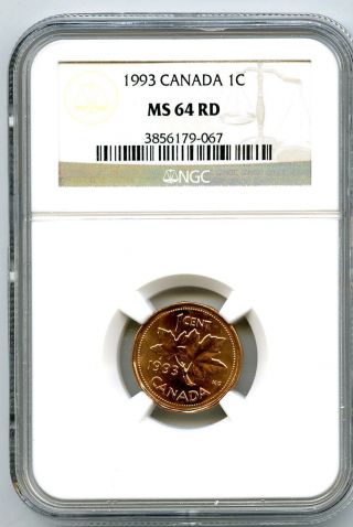 1993 Canada One Cent Ngc Ms64 Rd Copper Penny Uncirculated Coin photo