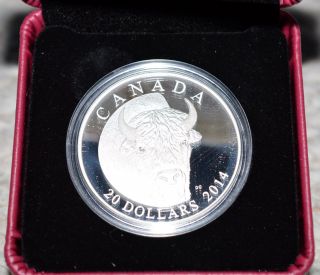 2014 $20 Silver Coin - The Bison:portrait - First In A Series Of Five - 7500 Minted photo