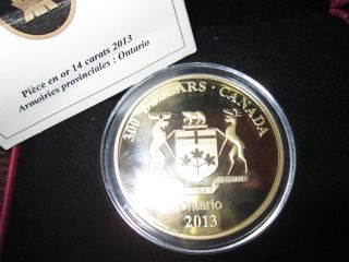 2013 1.  125 Oz Gold Canadian $300 Coin - Ontario Coat Of Arms photo
