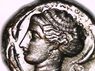 2rooks Greek Colonies Of Italy Sicily Syracuse Tetradrachm Chariot Dolphin Coin photo