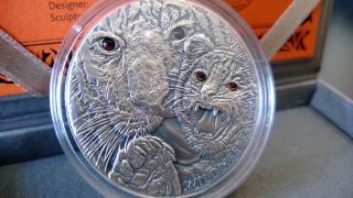 Tigers Wildlife Family Panthera Tigris Silver Coin 1$ 1 Oz Niue 2013 photo