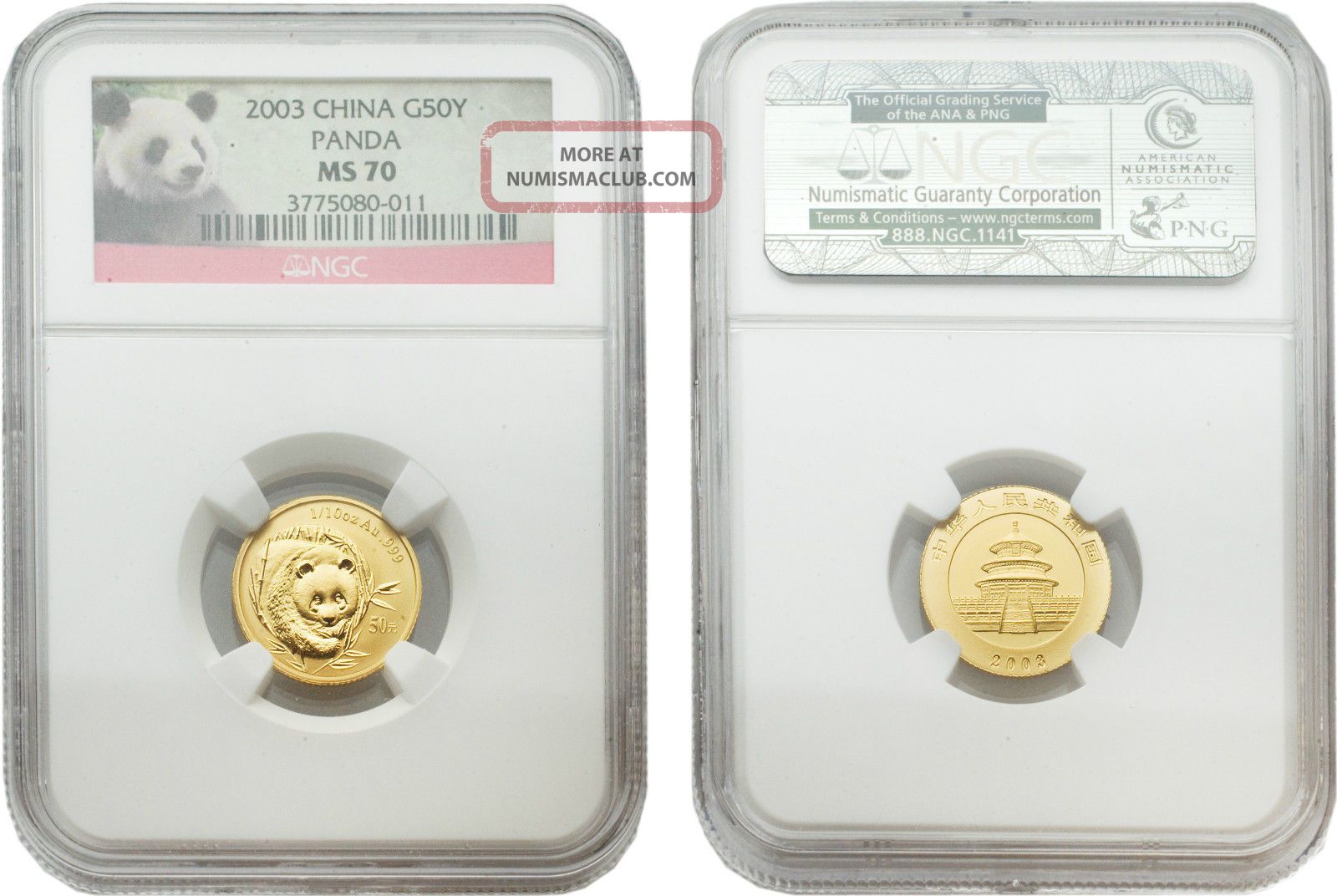 China 2003 Panda 50 Yuan 1/10 Oz Gold Coin Ngc Ms 70 China photo