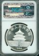 1989 Silver Panda 1 Oz Coin 10y S10y China Ngc Ms67 Ms - 67 10 - Yn Yuan China photo 1