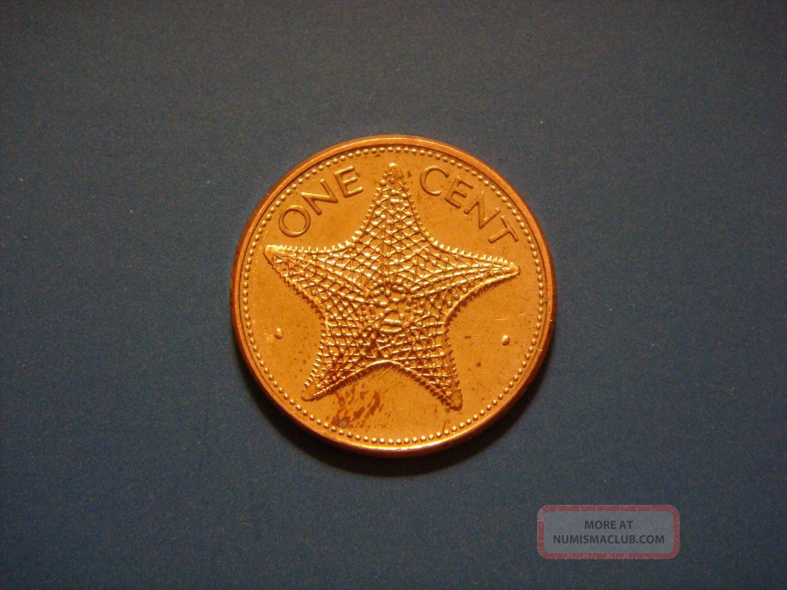 Bahamas 1 One Cent 2004 Coin Starfish bahamas-1-one-cent-2004-coin-starfish