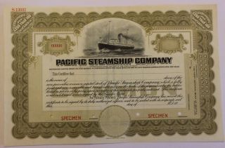1920 Pacific Steamship Company Specimen Stock Certificate Maine Admiral Line photo