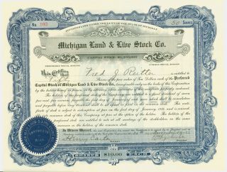 1913 Stock Certificate - Michigan Land & Live Stock Cp. . ,  Blue photo