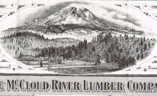 Usa Mccloud River Lumber Company Stock Certificate Minnesota photo