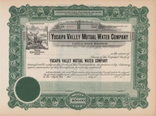 1913 Yucaipa Valley Water Co Stock Certificate California photo