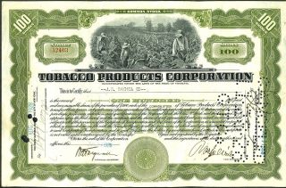 1928 Tobacco Products Corp Stock Certificate 100 Shares Common Antique Document photo