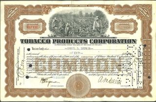 1928 Tobacco Products Corp Stock Certificate 20 Shares Common Antique Document photo