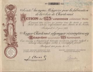 Hungary Chardonnet Silk Co Stock Certificate 1904 photo