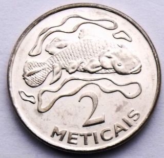 Mozambique 2 Meticais 2006 Coelacanth Fish Unc Coin photo