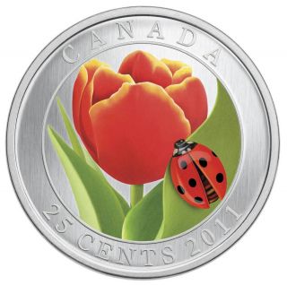 2011 Canada 25 Cent Coin Tulip With Lady Bug photo