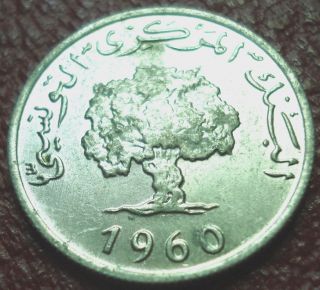 1960 Tunisia 2 Millim In Au photo