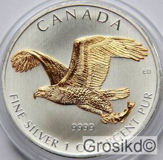 Canada 2014 $5 Bald Eagle 1 Oz 0.  999 Silver Gilded Birds Of Prey photo