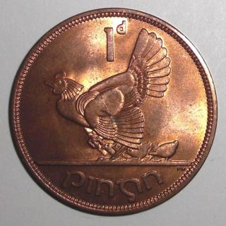 1968 Ireland 1 Penny,  Hen With Chicks,  Chicken,  Bird Animal Wildlife Coin photo