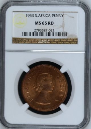 South Africa 1953 One Penny Ngc Ms65 Rd 1p Bright & Finest Known Pop 2/0 photo