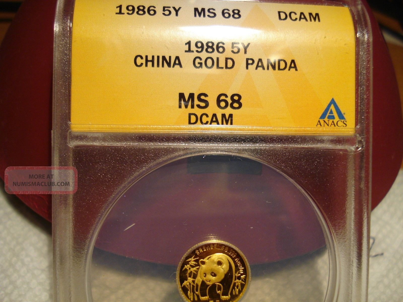 1986 China Gold Panda (1/20 Oz) 5 Yuan Anacs Ms 68 Dcam China photo