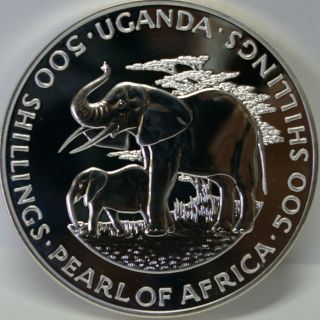 Uganda 1981 500 Shillings,  African Elephants & Dr.  Milton Obote,  Oversize Coin photo