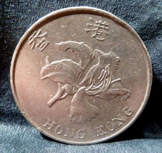 Hong Kong 5 Dollars 1993 - Km 65 - Bauhinia Flower - Xf photo