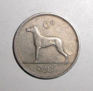 1964 Ireland 6 Pence,  Irish Wolfhound Dog,  Animal Wildlife Coin photo