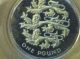 2002 United Kingdom - Silver Piedfort One Pound Coin UK (Great Britain) photo 6