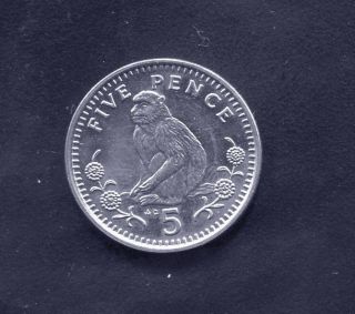 Gibraltar - Barbary Ape 5 Pence,  1989 photo