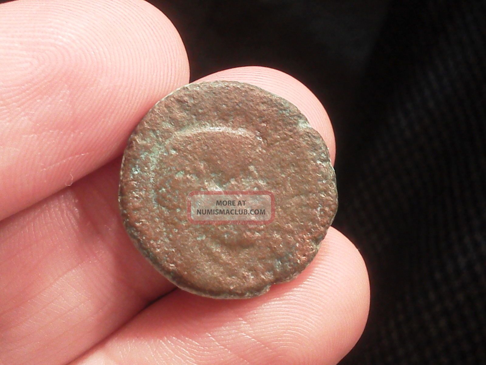 Augustus,  Lilybaeum,  Caesar Avgvstvs Bare Head Right.  / Apollo,  See Note Coins: Ancient photo