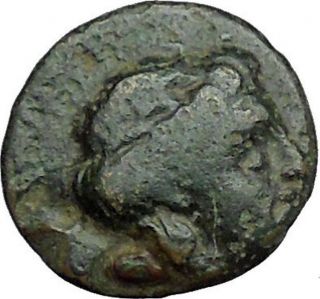 Samos 205 - 129bc Ancient Greek Coin Lion Hera Sister & Wife Of Zeus I34030 photo