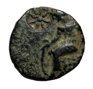 Unique Bronze Apollonia Pontica With Contermarc 4 - 3c.  B.  C.  4.  97g/18mm M - 430 photo