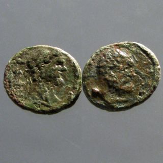 Septimius Severus Ae16_nicopolis Ad Istrum_bearded Head Of Hercules photo