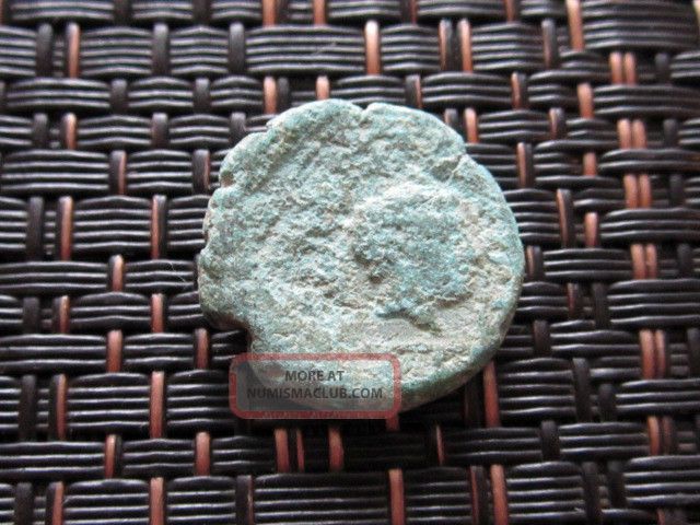 Ancient Greek Bronze Coin Abdera In Thrace 345bc Griffin & Apollo