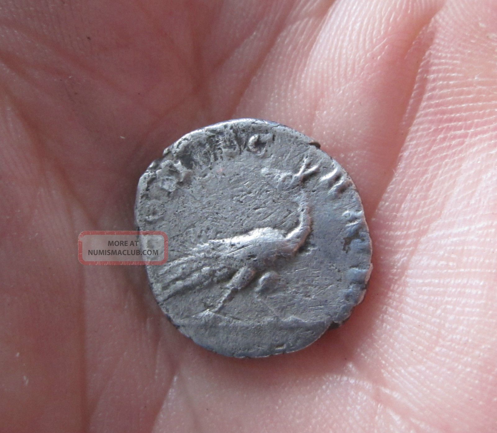 Faustina Senior Silver Denarius Roman Coin