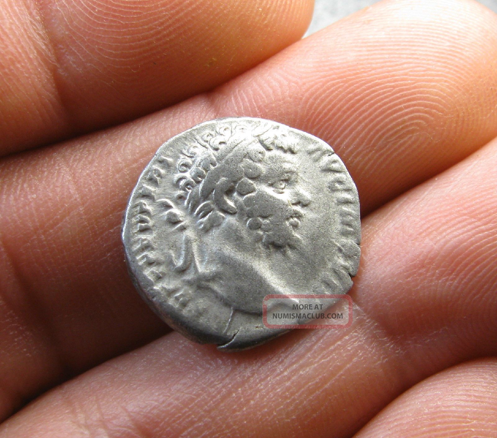 Septimius Severus - Silver Ar Denarius - Emperor Riding Horse