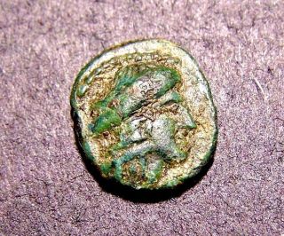 Ancient Greek Coin,  Odessos On The Black Sea,  Apollo & Local 