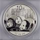 2013 China Panda 10 Yuan Silver Coin (pcgs Ms70,  First Strike) 1 Ozt.  999 6466 China photo 1