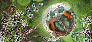 2014 - 1000 Francs Papillons Exoqtiques Euphaedra Neophron Butterfly 3d Silver. photo