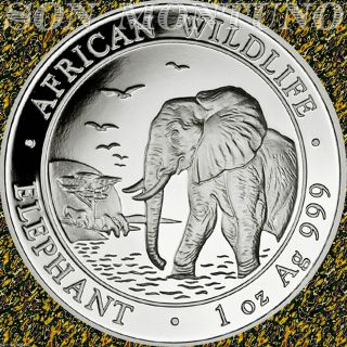 2010 Somalia African Wildlife Elephant 1 Troy Oz.  999 Silver Bu Coin In Capsule photo