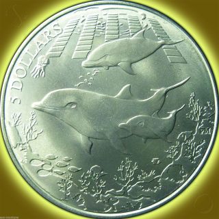 2014 Titanium Dolphin,  British Virgin Islands Pobjoy Coin photo