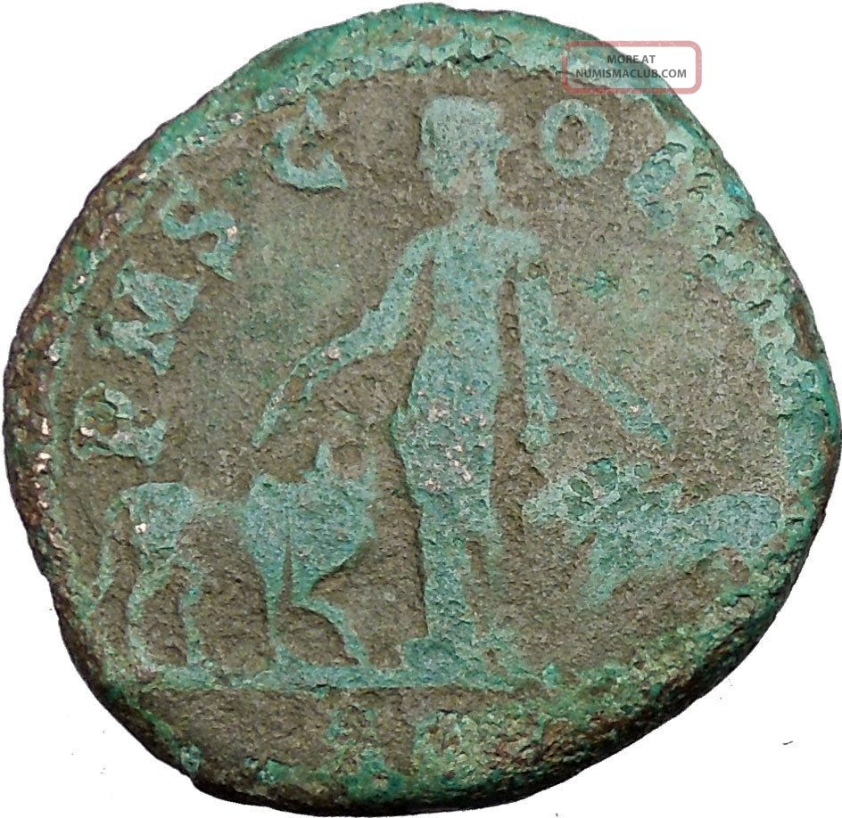 Gordian Iii Viminacium Sestertius Bull Lion Legion Ancient Roman Coin I37361 Coins: Ancient photo