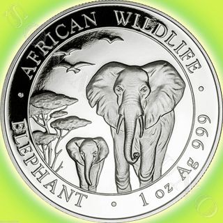 2015 Somalian African Wildlife Elephant 1 Oz.  999 Silver Bu Coin In Airtite photo