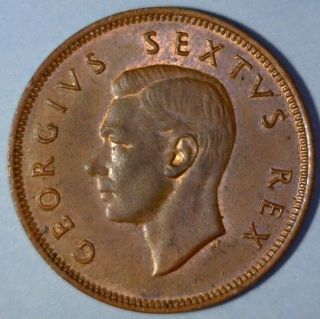 South Africa 1/2 Penny 1949 Choice Red Uncirculated Copper Coin - King George Vi photo