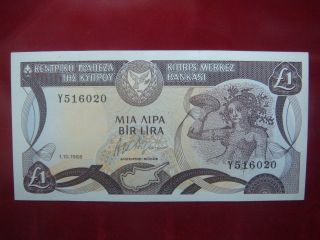 Cyprus 1988 - One Pound Banknote - Uncirculated 1/10/1988 100 Unc photo