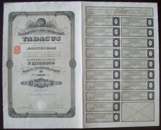 Netherlands 1925 Bond With Coupons Tabacus Herzog Cavalla Amsterdam.  R4030 photo