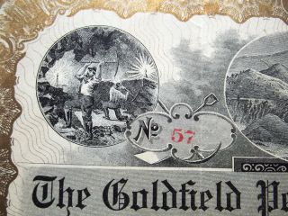 1905 Stock Certificate - The Goldfield Peerless Mining Co,  (nevada Mining) 500 photo