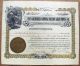 1905 Stock Certificate - Goldfield Coming Nation Gold Mines Co,  Nevada,  Mining Stocks & Bonds, Scripophily photo 1