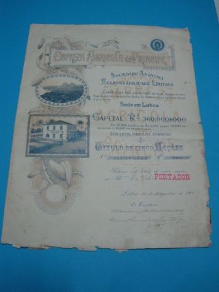 Agricultural Company Of Prince - Five Share Certificate - 1900 photo
