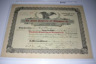 1907 Nevada Prospecting And Development Company Mining Stock Certificate photo