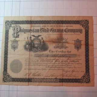 1880 Vintage Stock Certificate Polynesian Bird Guano Company photo